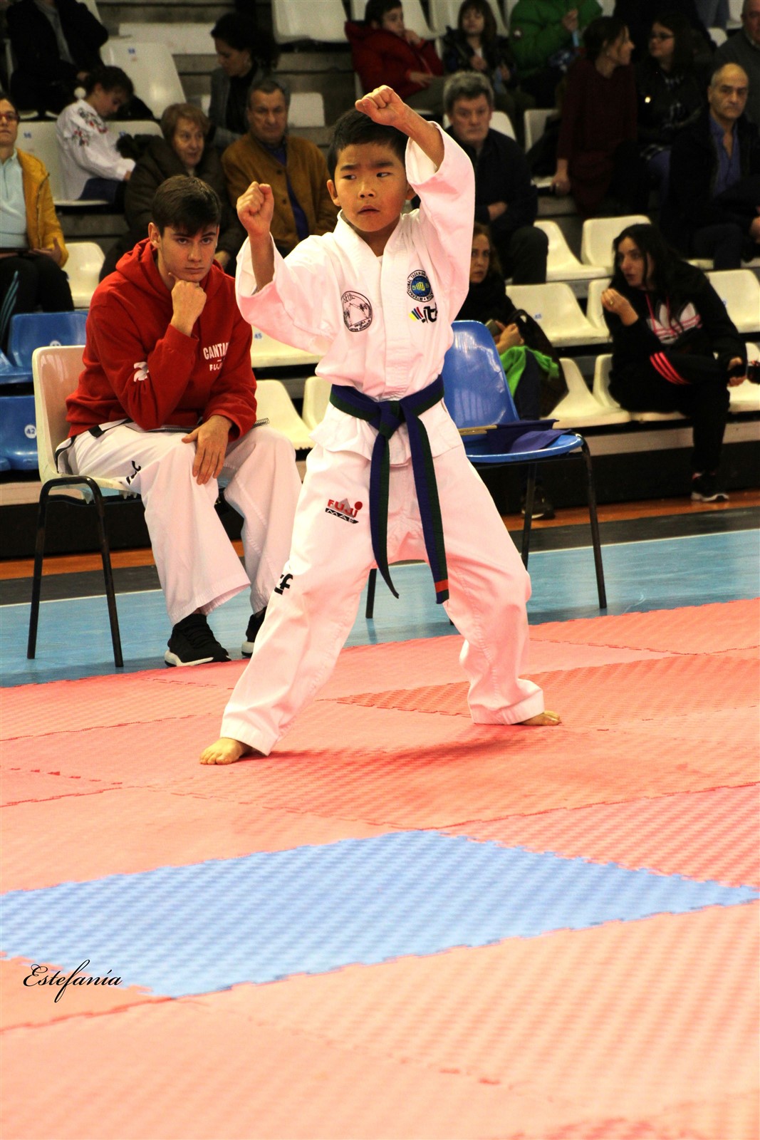 Taekwondo (92).jpg
